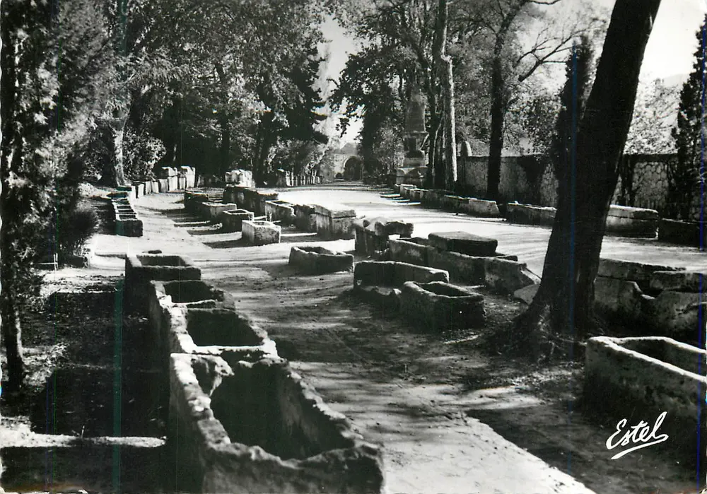 Arles — Os Alyscamps. Avenida dos Túmulos — Edições de Luxo Estel, n° 44870 - Frente