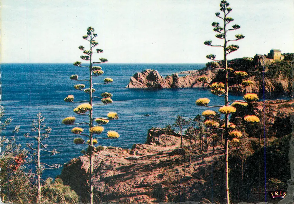 Les Rives de la Méditerranée — Monaco — éditeur IRIS, n° 06.000.13 - Recto