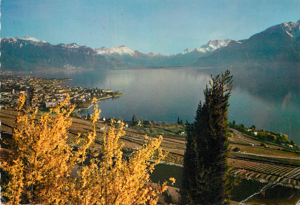 Vista generale e i Denti del Mezzogiorno — Vevey — Edizioni Jaeger, n°785 - Recto