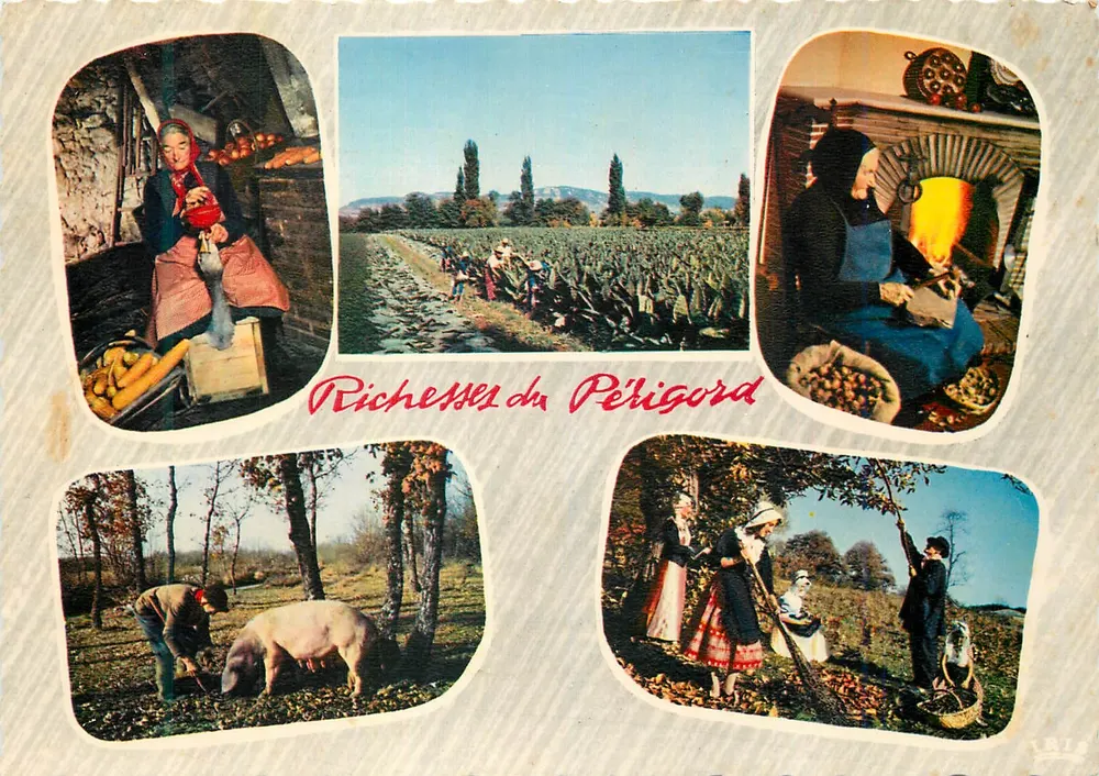 Reichtümer des Périgord — Moderne Ausgaben Théo Jac - Vorderseite