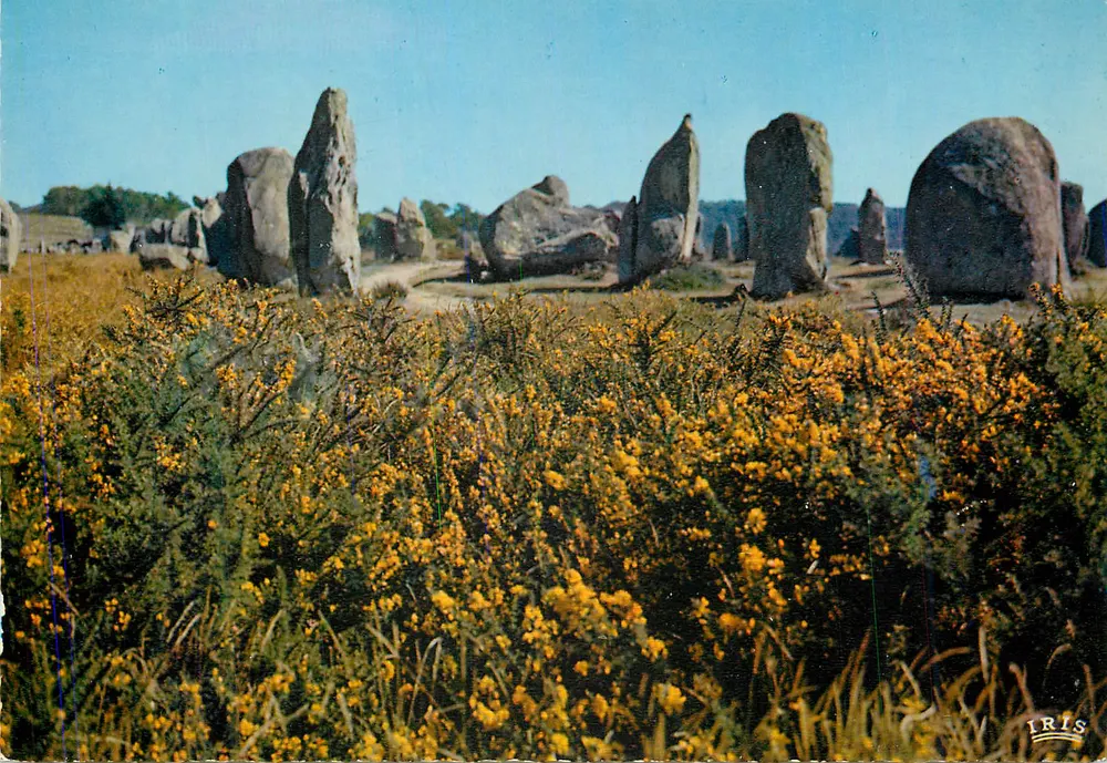 Menhirs e Campina Florida — P.P. 1568 — Editor IRIS - Frente
