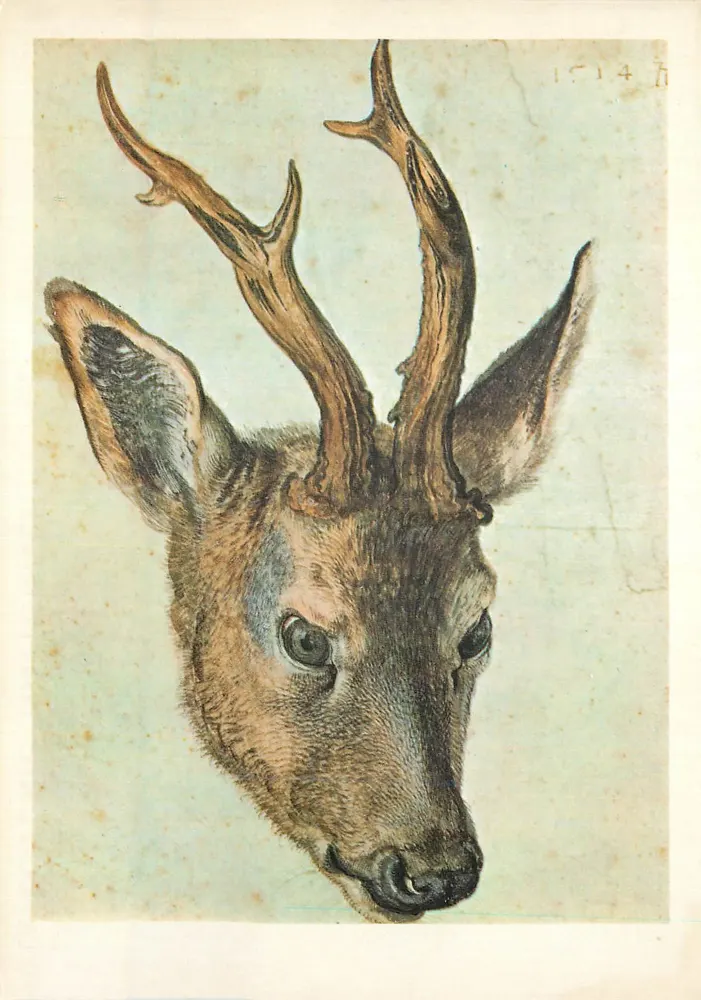 Hirschkopf — Aquarell von Albert Dürer (1471–1528) — Éditions AT - Vorderseite