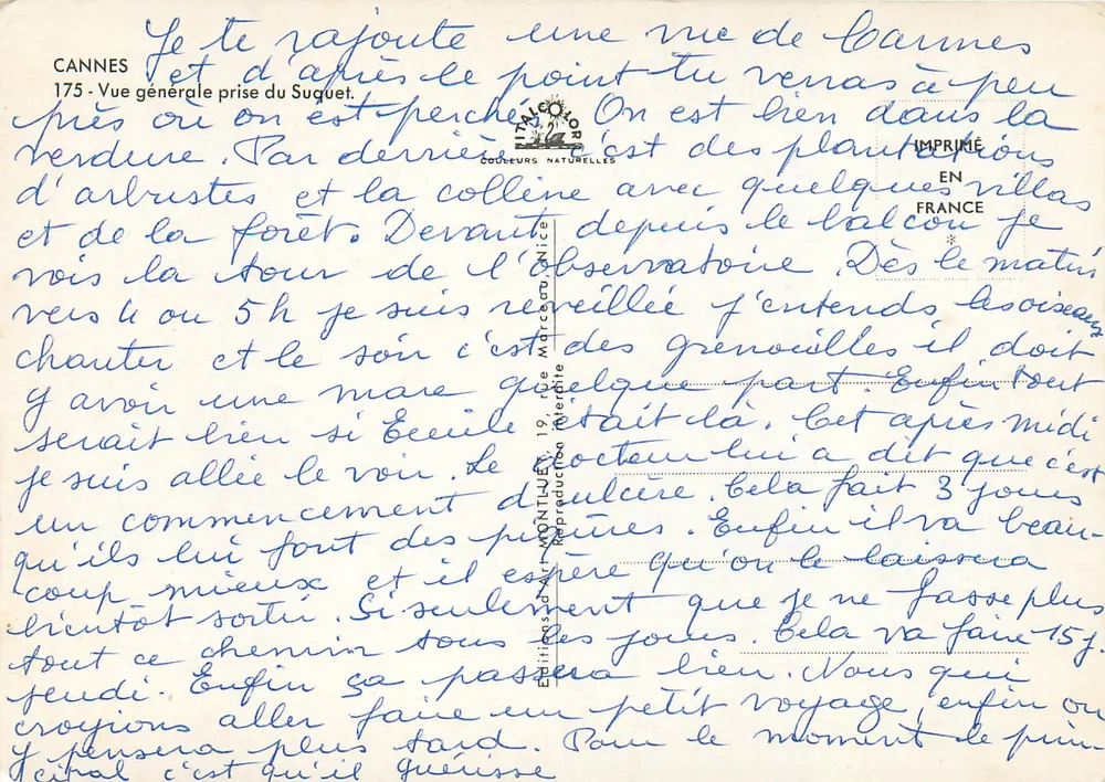 Cannes — Vista geral tirada do Suquet — Edições d'Art Montluçon, n°175 - Verso