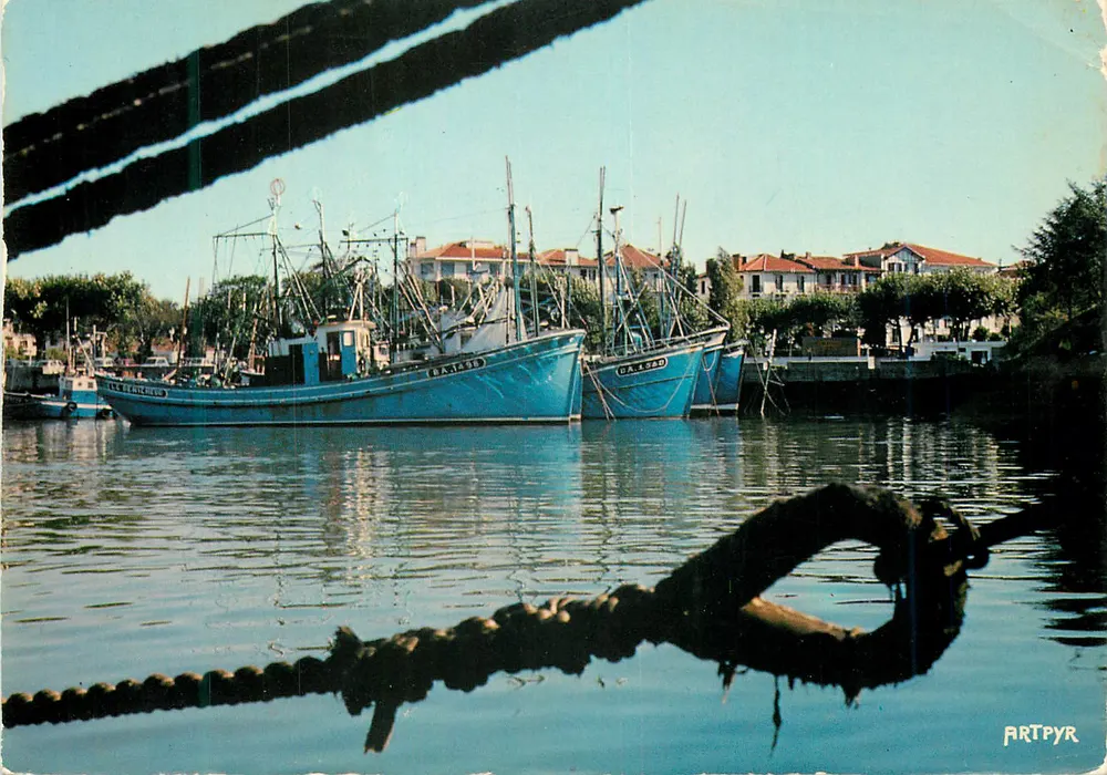 Saint Jean de Luz — Bateaux de pêche — Editions d'ARTPYR - Recto