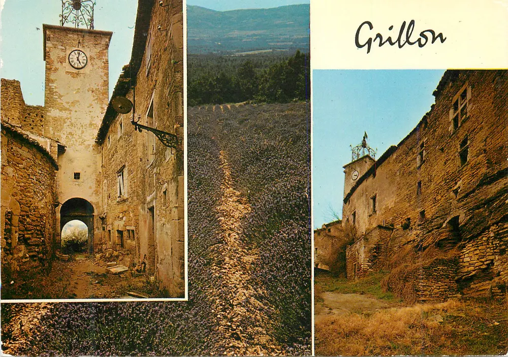 Grillon — vista da torre, campos de lavanda e aldeia — Éd. J. CELLARD - Frente