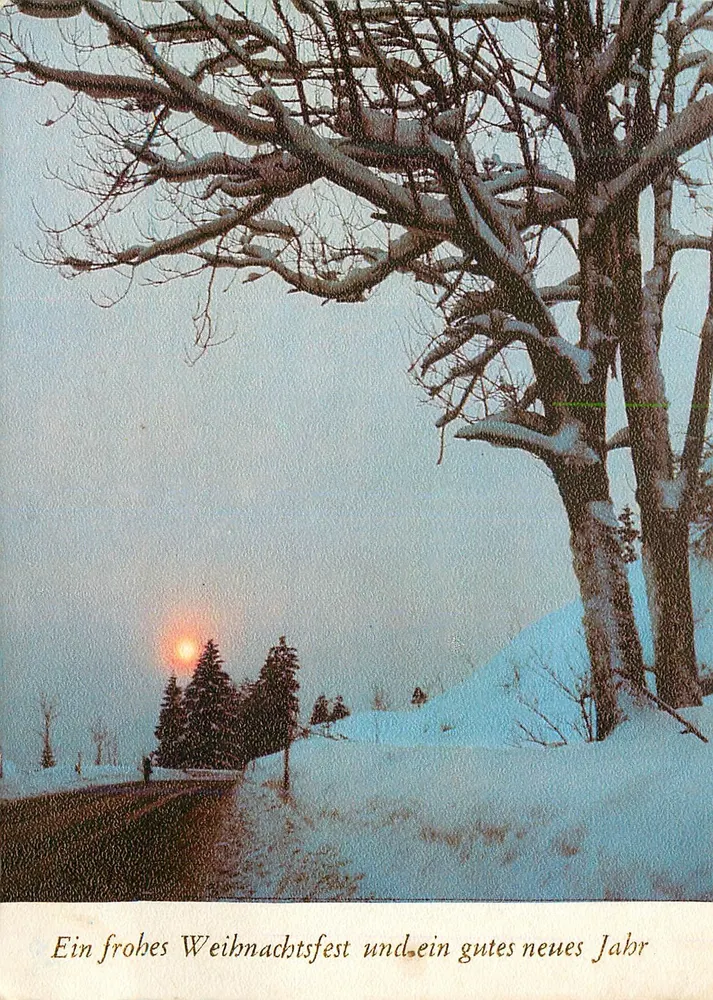 Schneebesetzter Baum am Sonnenuntergang — Serie 2 — Made in West-Germany - Vorderseite