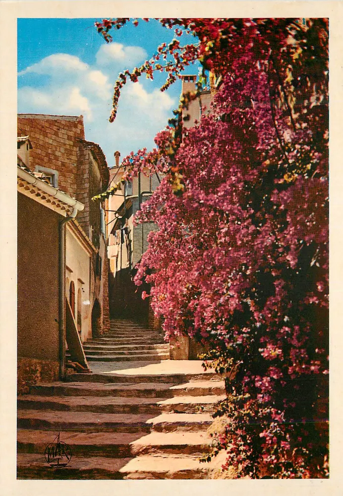 Village Fleuri — Bormes-les-Mimosas (Var) — Éditions «MAR» - Recto