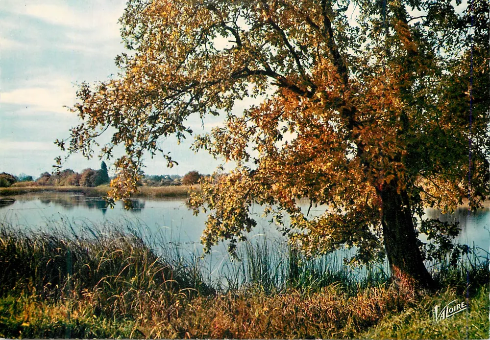 Na Sologne... — No outono, um lago — Valoire - Frente