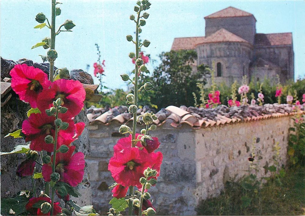 Talmont — Rosen Trémières und Kirche Sainte Radegonde — Verlag Frankreich - Vorderseite