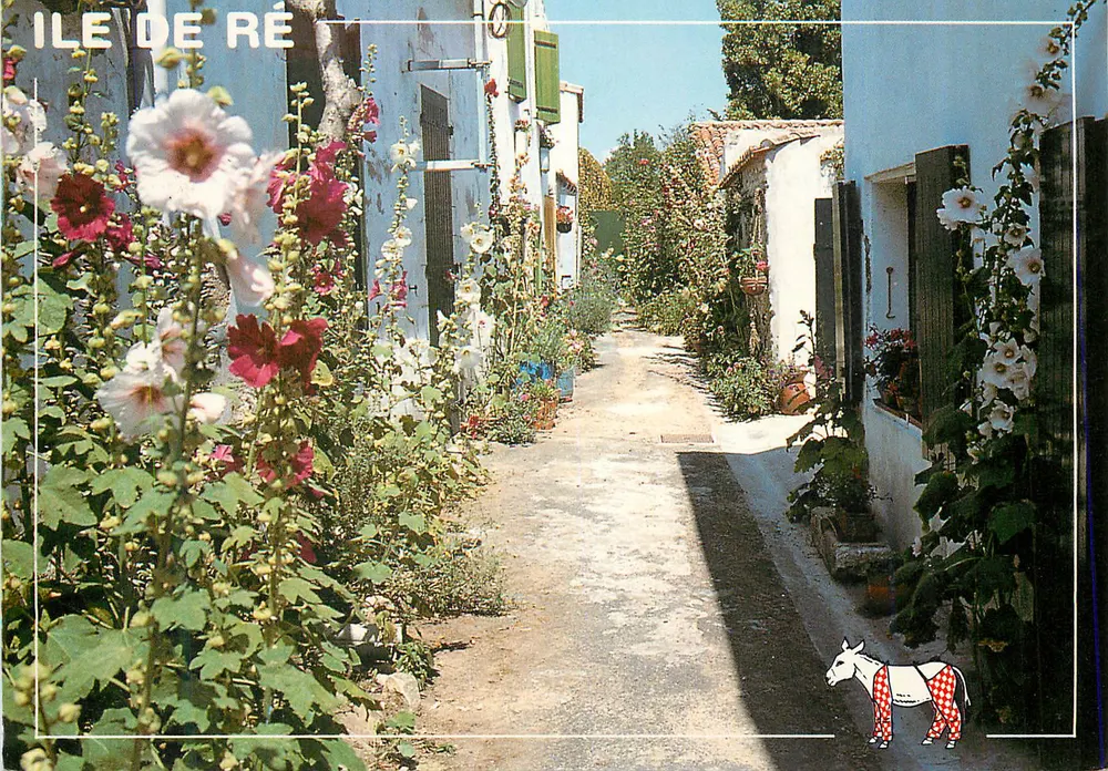 Ruela de rosas trémières — Ilha de Ré — Edições CastelSA — N° 8617 - Frente