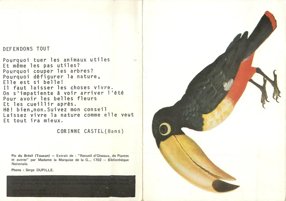 Toucan — Poema de una niña — Sociedad de Protección de Animales - Anverso