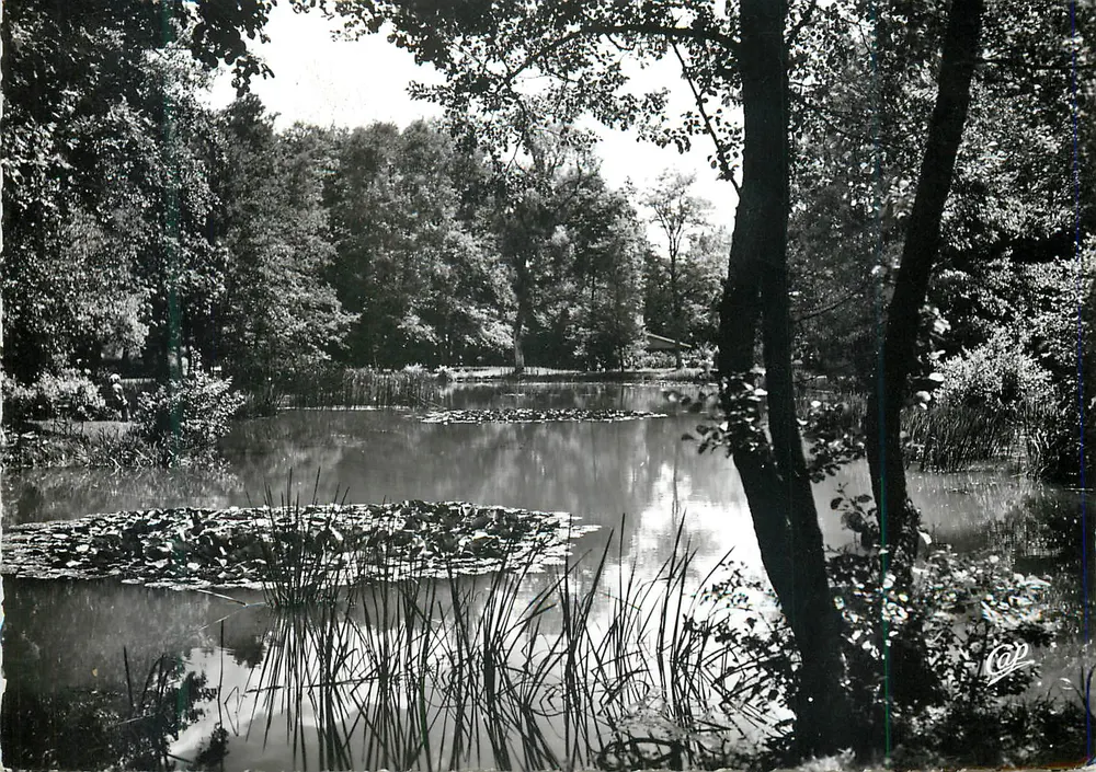 VITTEL (Vosges) — L'Étang des Fées — Réal-Photo - Voorkant