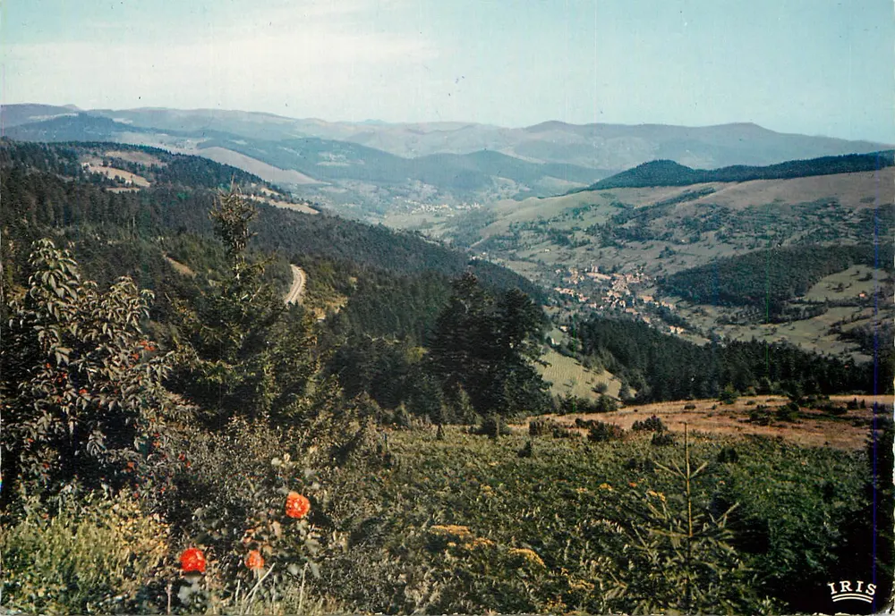 Vue d'Alsace pittoresque — Sondernach — Éditeur IRIS, n° 68.311.15 - Recto