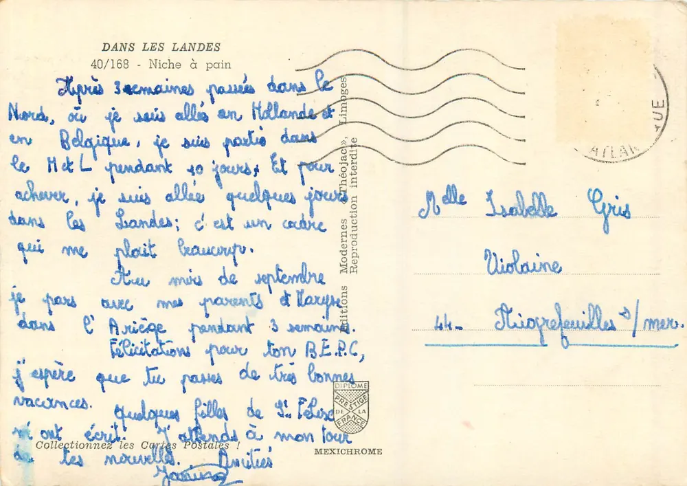 Floresta de pinheiros — Caminho e nicho para pão — Edições IRIS, n° 40/168 - Verso