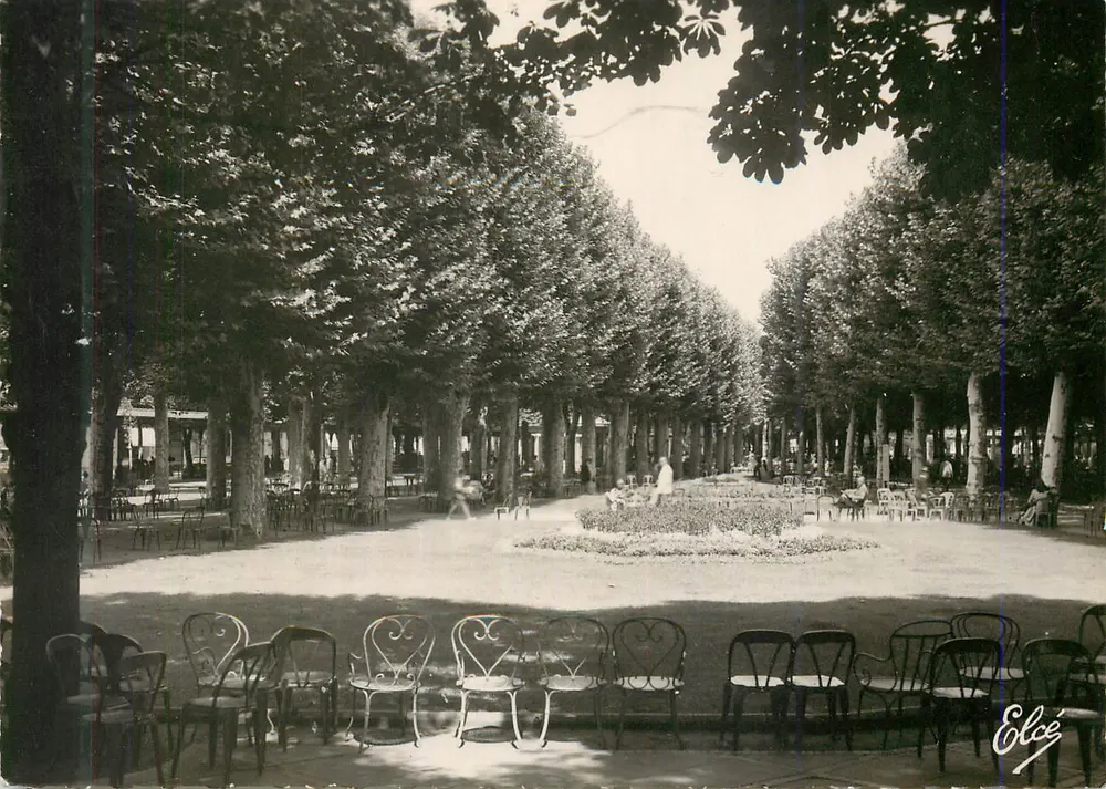 Vichy (Allier) - Les Allées ombragées dans le Parc des Sources — Éditeur Elcé, n° 11959 - Recto