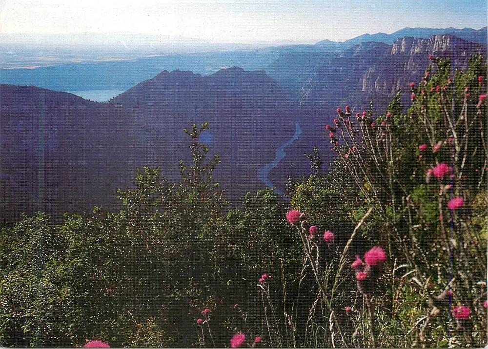 Les Gorges du Verdon — Alpes de Haute-Provence — Éditions Photoguy, EA 199 - Recto