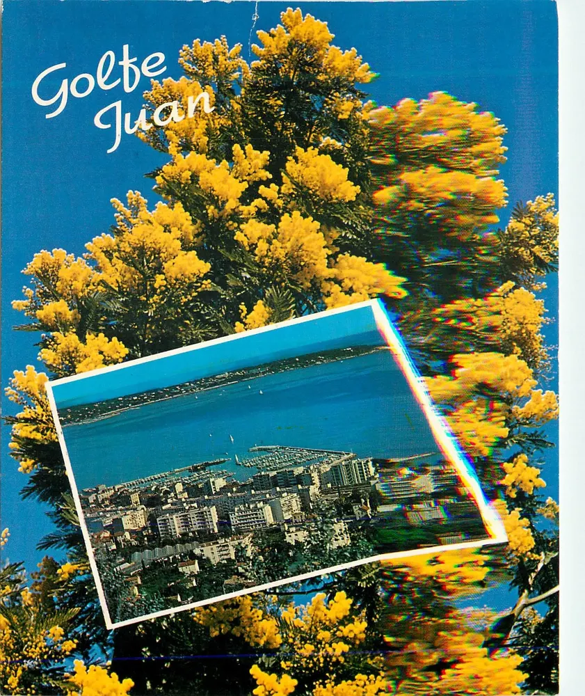 Golfe Juan — vista aérea e flores de mimosa — Éditions S.E.P.T. - 43/124 - Frente