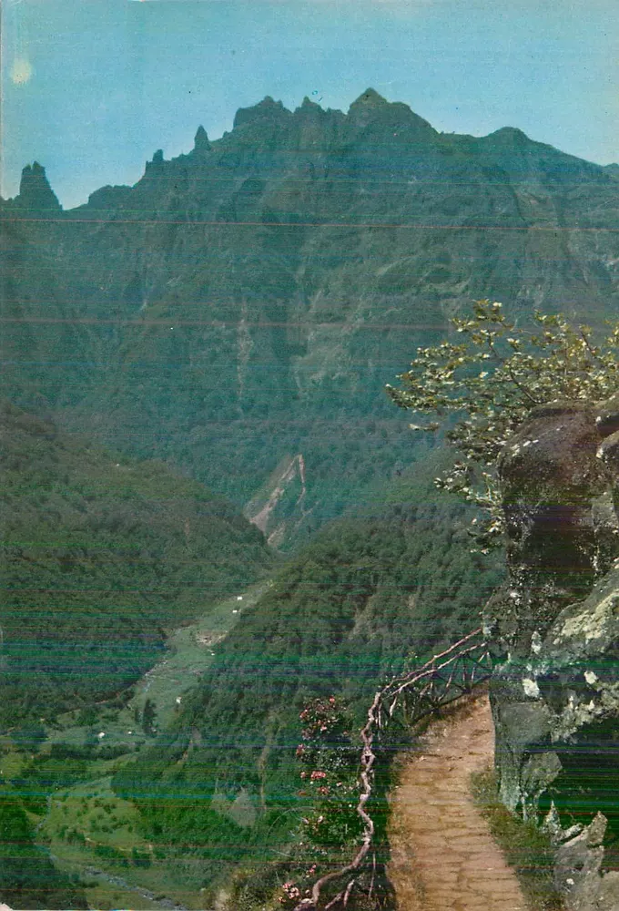 Balcões Ribeiro Frio — Madère — Éditeur PERESTRELLOS — N° 19 - आगे