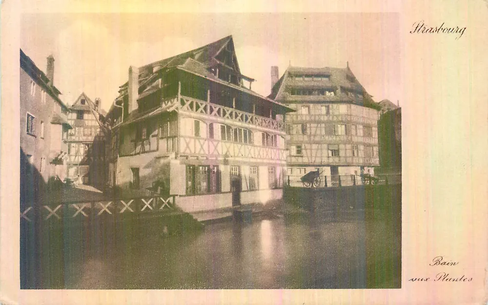Strasbourg — Banho das Plantas — editor Félix LUIB - Frente