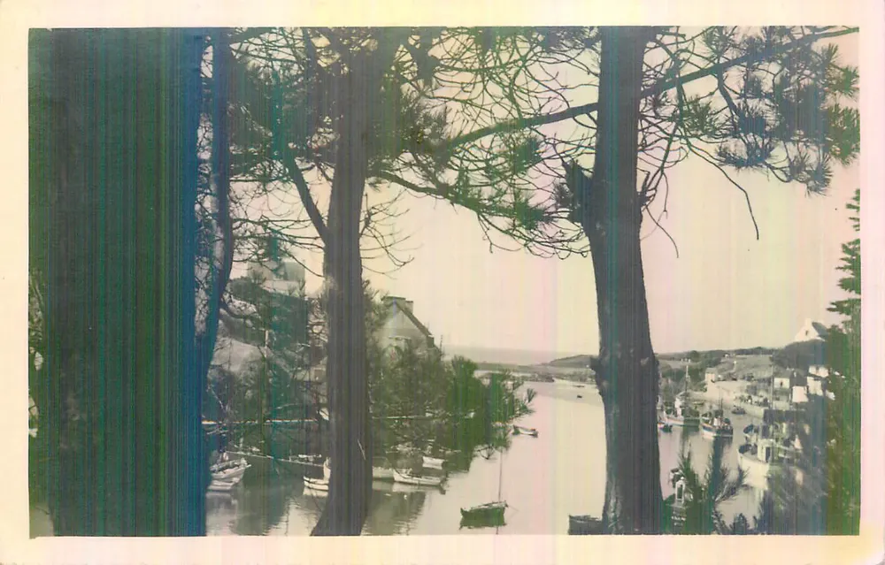 Vista del porto di Sainte-Marguerite — vista dai pini — editore non visibile - Recto