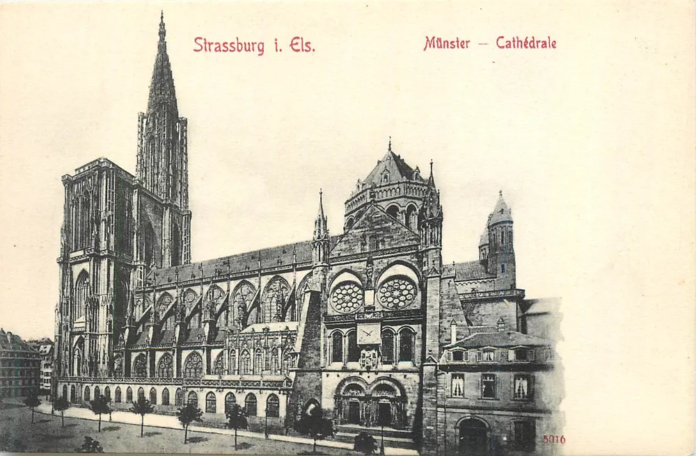Els. — Catedral — editor desconhecido, n° 5016 - Frente