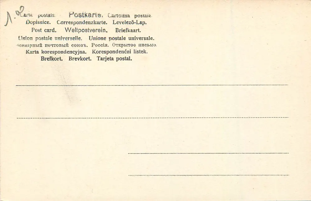 Els. — Catedral — editor desconhecido, n° 5016 - Verso
