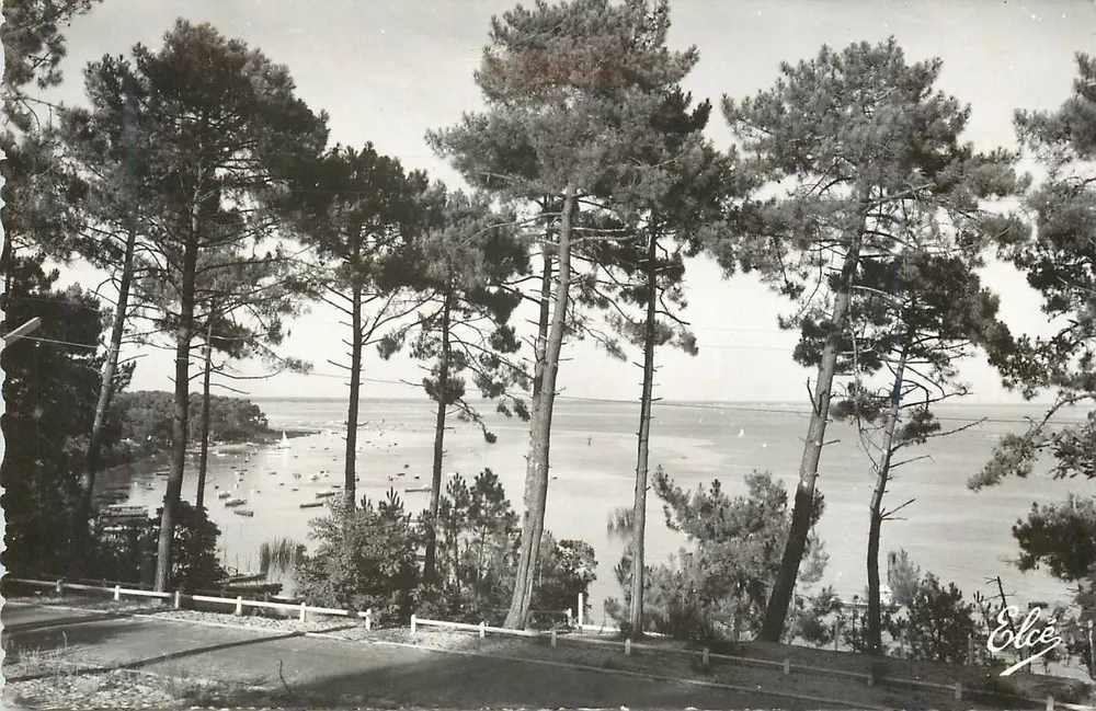 Bassin d'Arcachon — Vue sur le Bassin — L. Chatagneau, Bordeaux - Recto