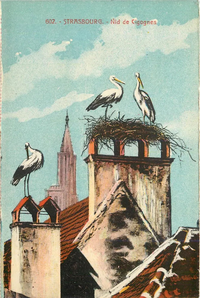 स्ट्रासबर्ग - किगोंग के बर्ड नेस्ट - एडिटर अज्ञात, श्रृंखला संख्या 602 - आगे