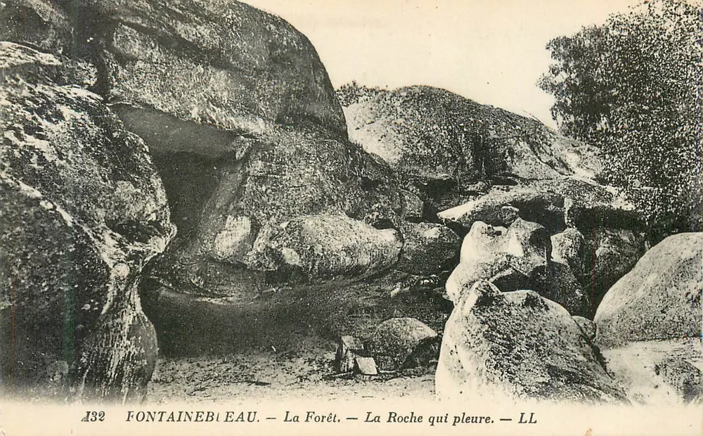 Fontainebleau — La Forêt — La Roche qui pleure — LL - Recto