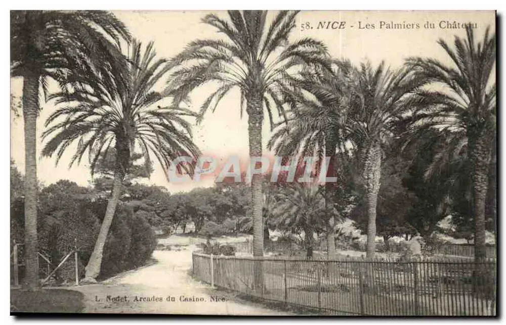 Nice - Les Palmiers du Château — L. Nodet, Arcades du Casino. Nice. N°58 - Recto