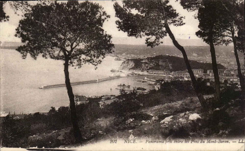 NICE — Panorama genomen tussen de Pijnbomen van Mont-Boron — LL, nr. 202 - Voorkant