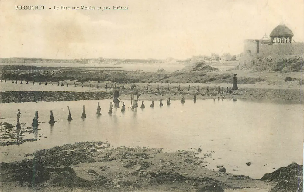 Pornichet — Der Park der Schnecken und Austern — Sammlung H. D. R. Némes - Vorderseite