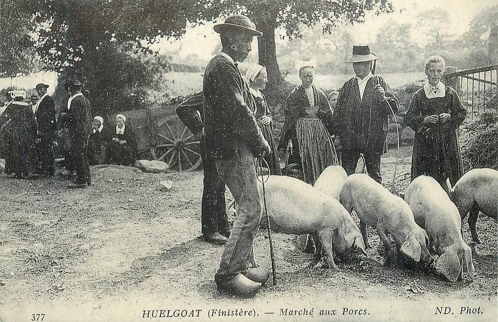 Huelgoat (Finistère) — Marché aux Porcs. ND. Phot. - Recto
