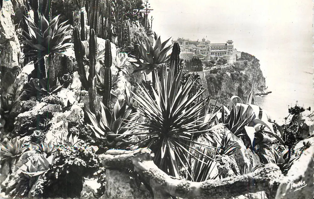 Die Côte d'Azur — Der Felsen von Monaco — Blick auf die exotischen Gärten — Éditions Rella - Vorderseite