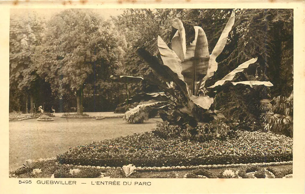 Guebwiller — De ingang van het park — serie 5495, uitgegeven door Braun & Cie - Voorkant