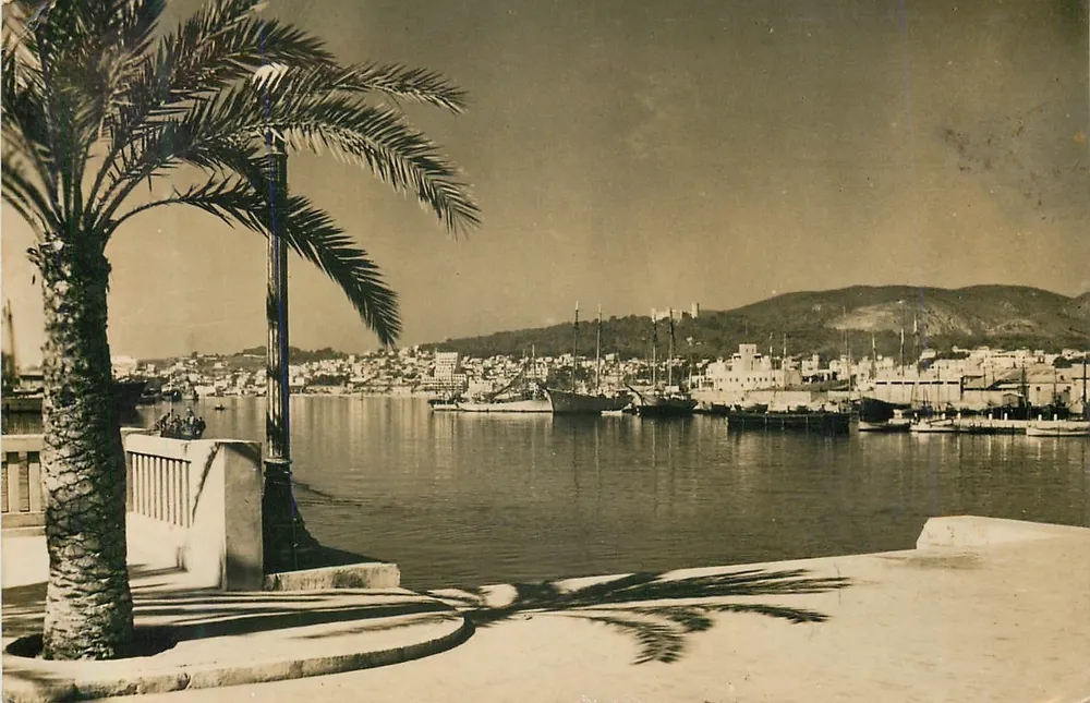 Porto di Palma de Mallorca — vista del porto con barche — editore Palma de Mallorca, N.º 8 - Recto