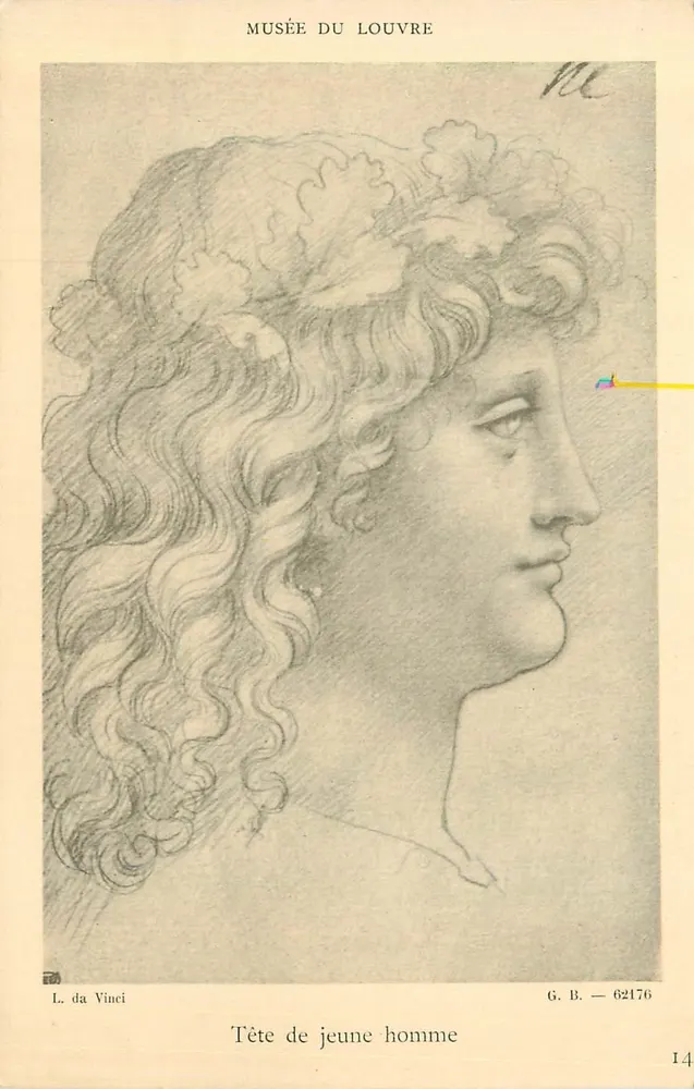 Tête de jeune homme — dessin de L. da Vinci — Musée du Louvre, G.B. 62176 - Recto