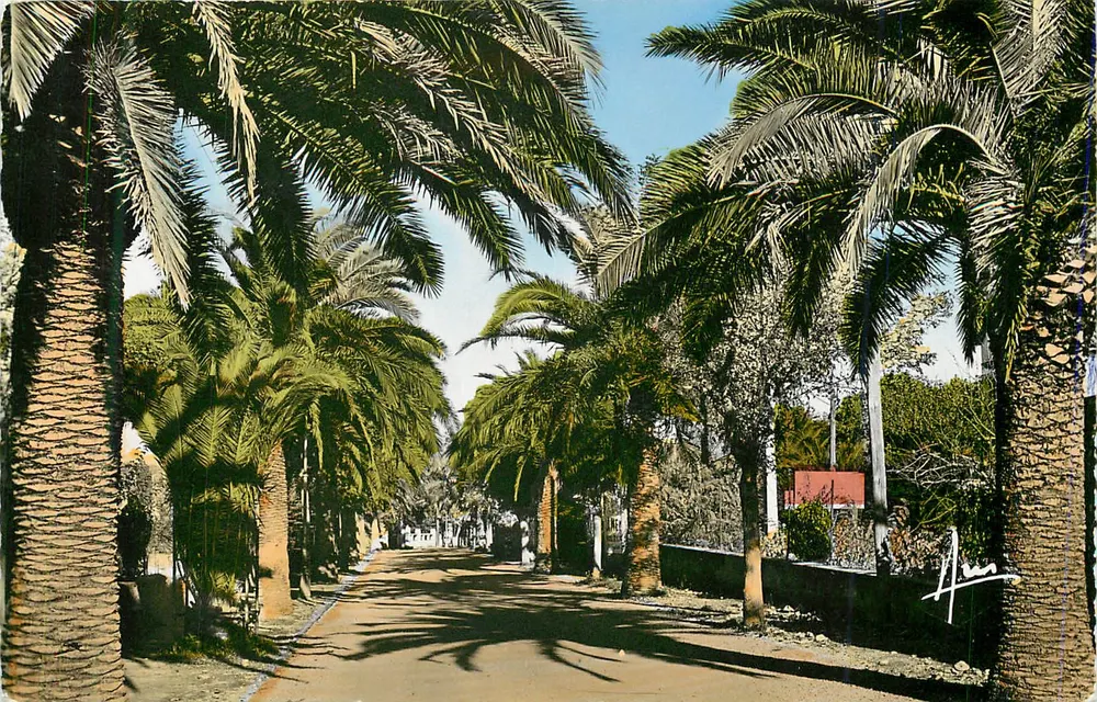 Avenue de Port-Issol — Sanary-sur-Mer — Éditions AKIS - Recto
