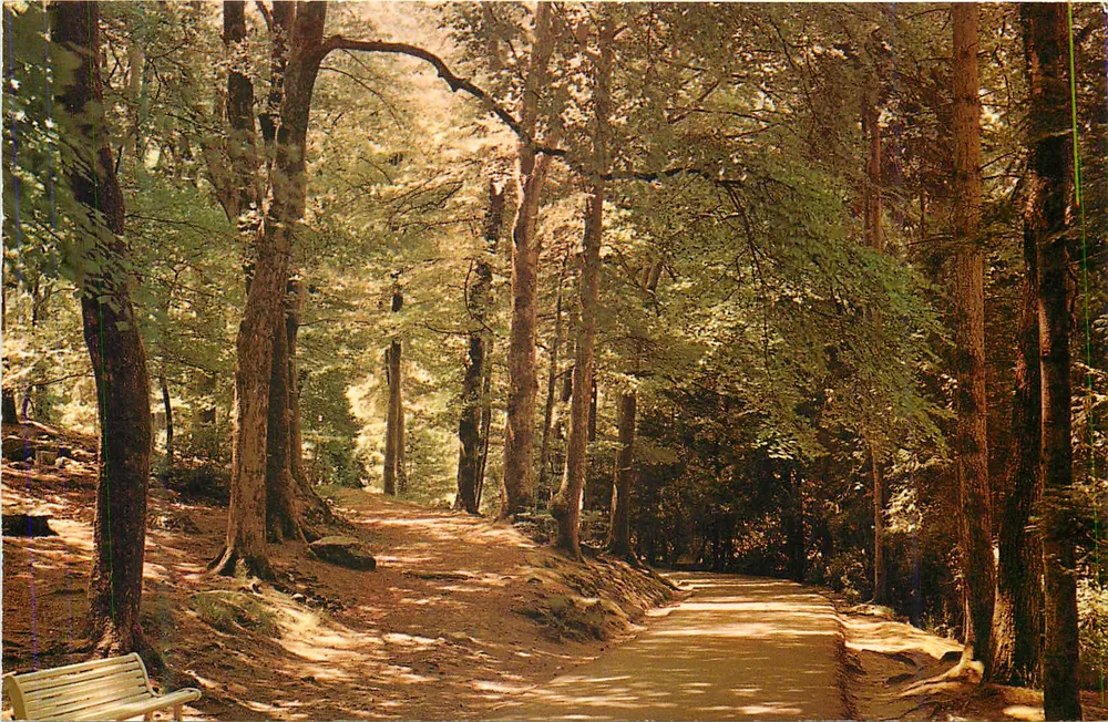 Dante-Allee — Thermalbad Bagnoles-de-l'Orne — Éditions JIPE GEORGET - Vorderseite