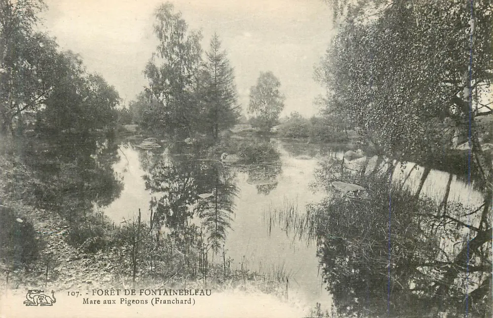 Forêt de Fontainebleau — Mare aux Pigeons (Franchard) — Nr. 107 - Vorderseite