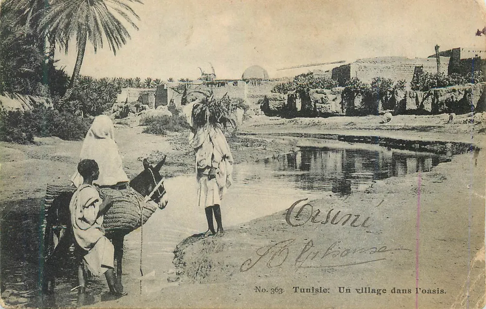 Tunisie — Un village dans l'oasis — Lehmer & Landrodt, No. 363 - Recto