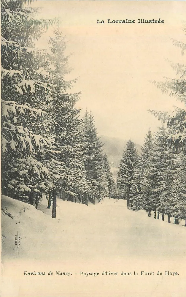 Umgebung von Nancy — Winterlandschaft in der Forêt de Haye — La Lorraine Illustrée - Vorderseite