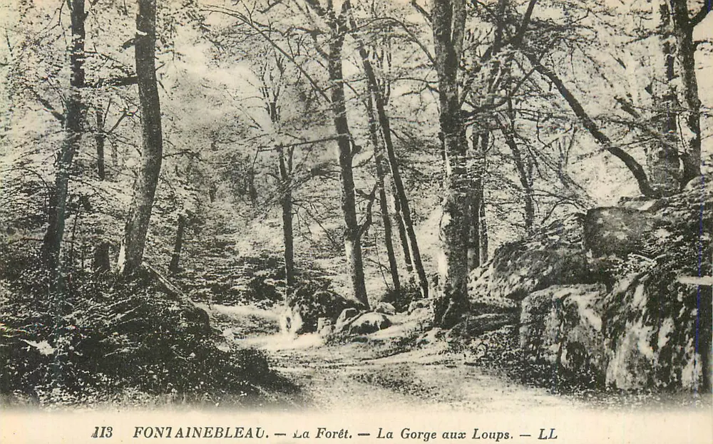 Fontainebleau — Die Forêt — Die Gorge aux Loups — LL - Vorderseite