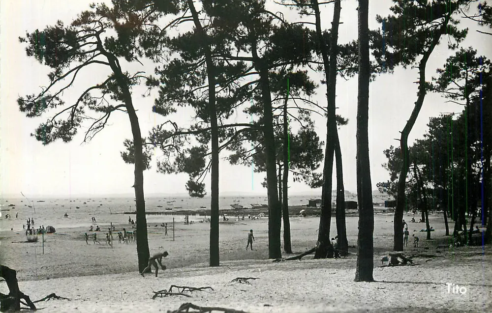 Andernos-les-Bains — La Spiaggia del Bétey — M. Berjaud, Bordeaux - Recto