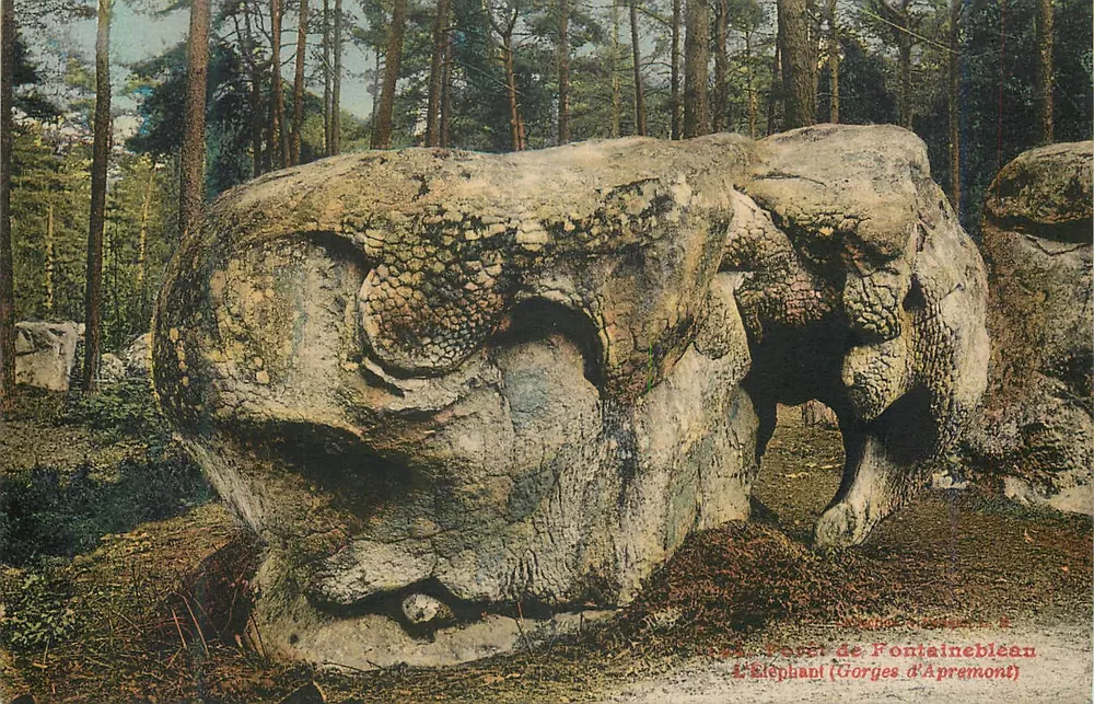 O Elefante (Gorges d'Aprémont) — Fontainebleau — Editor: LAL NARDIER - Frente