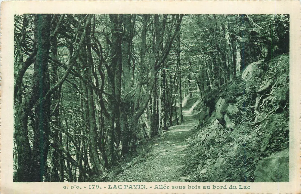 Lac Pavin — Allée sous bois au bord du lac — J. Gouttefanges, Olliergues (Puy-de-Dôme) - Recto