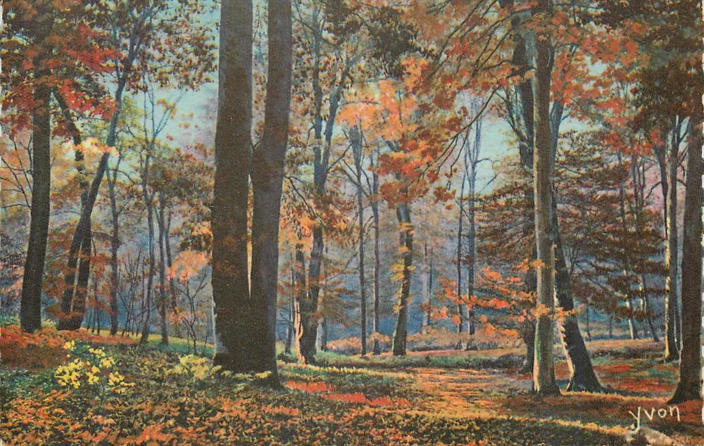 Fontainebleau (S.-et-M.) — Wald — Herbstmorgen — Les Éditions d'Art Yvon - Vorderseite