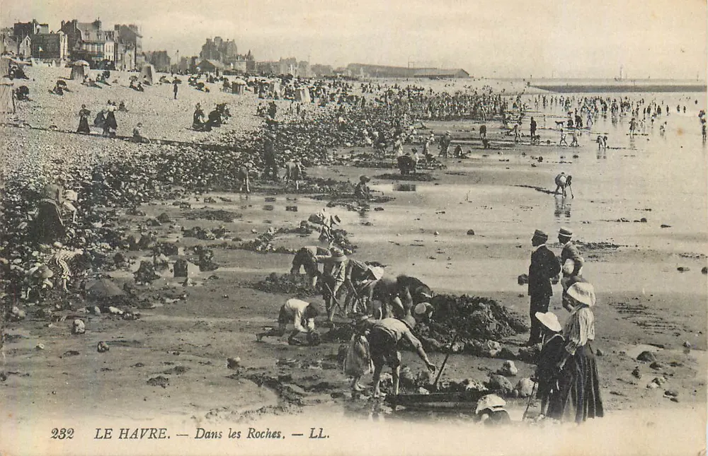 Le Havre — Nas Rochas — LL. — N° 232 - Frente
