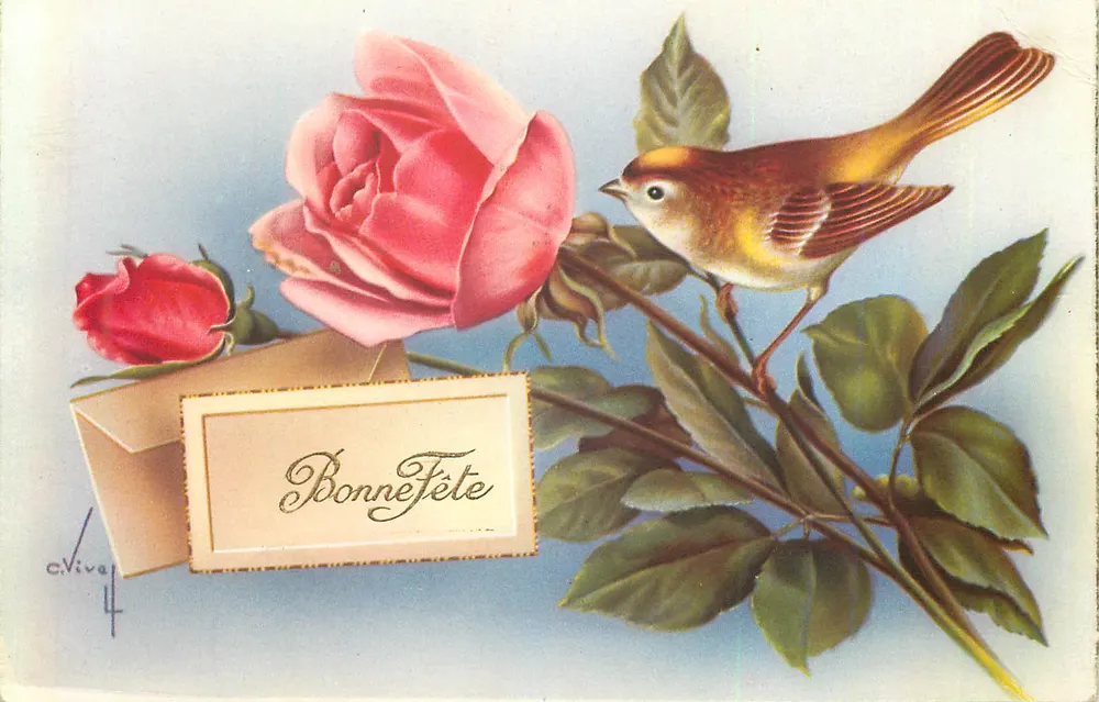 Rosas e pássaro — Boa festa — C. Vivap, n°4 - Frente