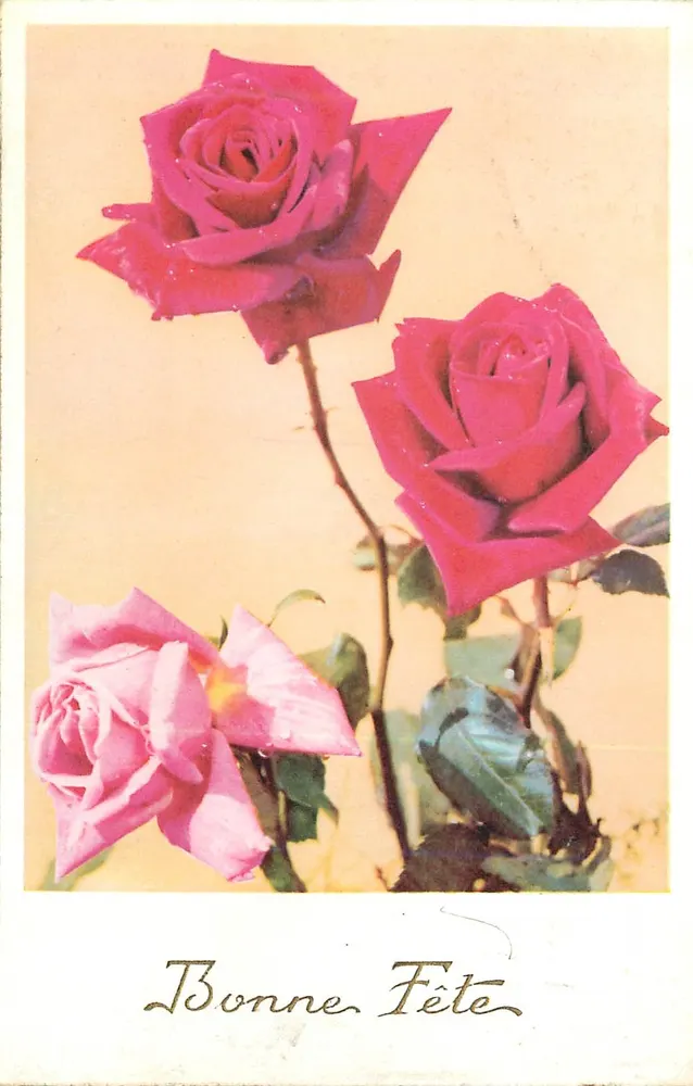 Três rosas — Boa Festa — M.D. Paris, série n° 1470 - Frente